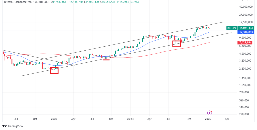 ビットコインのテクニカル分析②長期的な予想・見通し