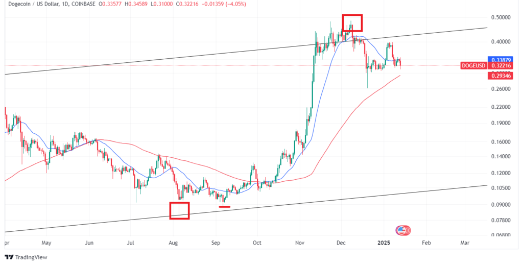 【1月最新】ドージコインのテクニカル分析|短期的な予想・見通し