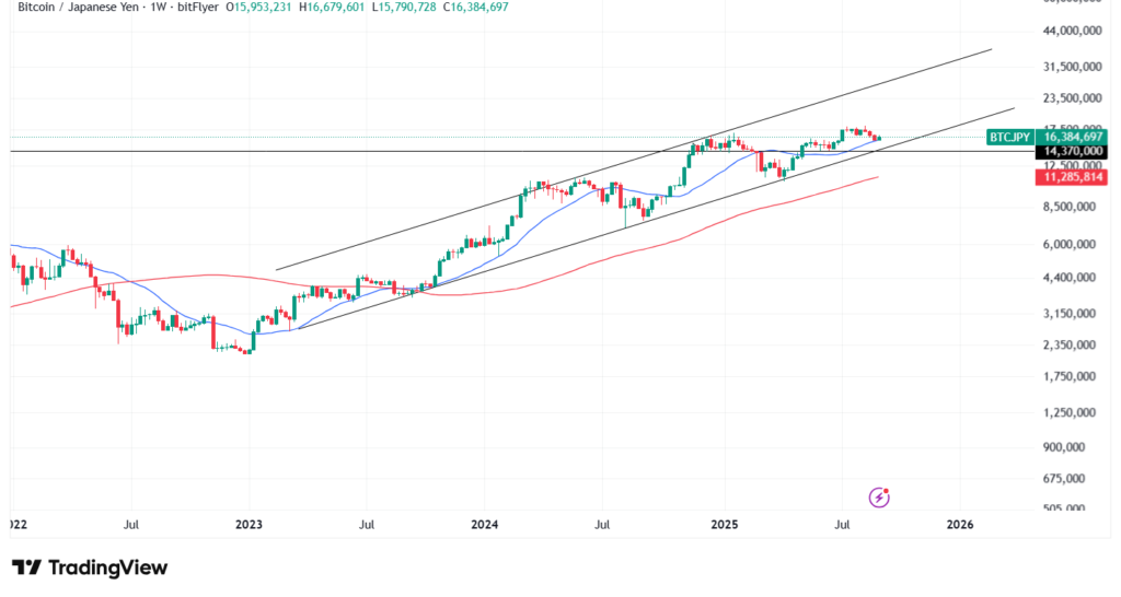【9月最新】ビットコインのテクニカル分析②長期的な予想・見通し