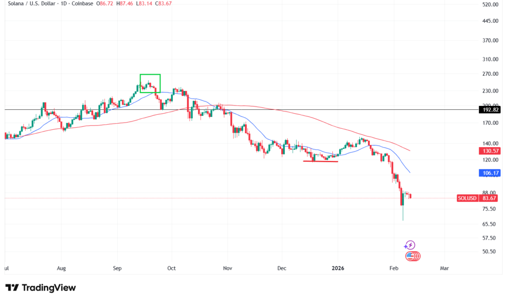 【2月最新】ソラナのテクニカル分析①|短期的な予想・見通し