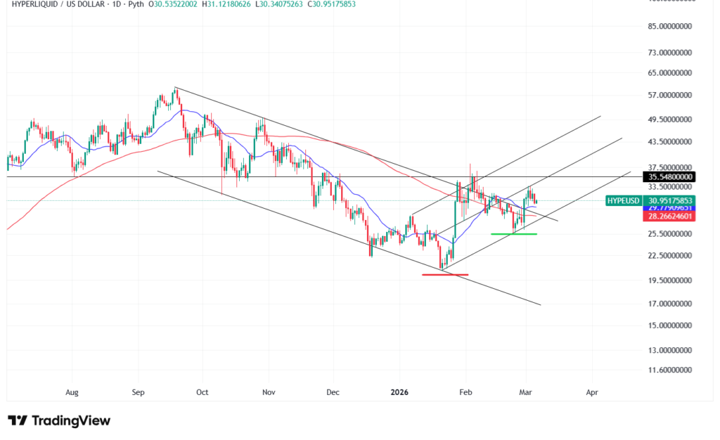 HYPEのテクニカル分析①短期的な予想・見通し