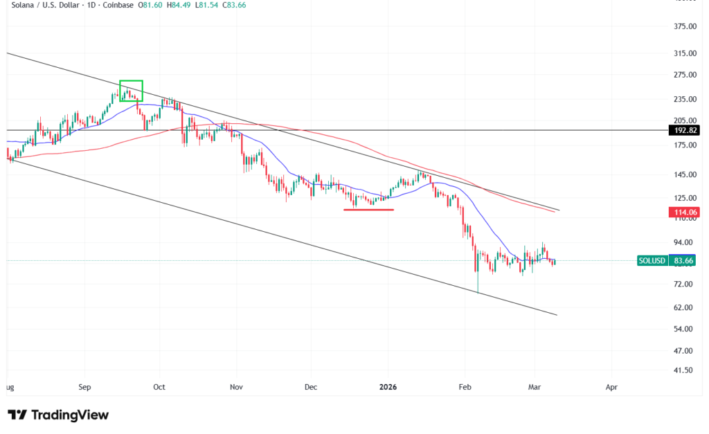 【3月最新】ソラナのテクニカル分析①|短期的な予想・見通し