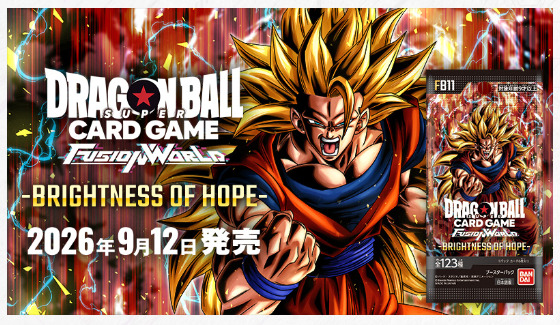 BRIGHTNESS OF HOPE FB11の商品画像